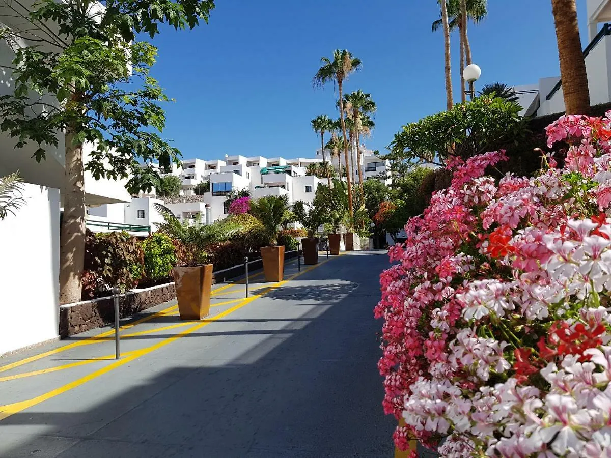 Las Atamanes 401 D Hotel Costa Adeje  Apartment